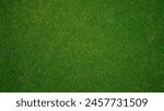 Green grass pattern texture for background, top view background of garden grass concept used for making green backdrop, golf course lawn green texture background.                                  