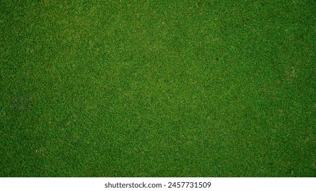 Green grass pattern texture for background, top view background of garden grass concept used for making green backdrop, golf course lawn green texture background.                                   - Powered by Shutterstock