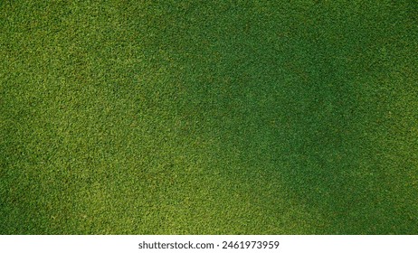 Green grass pattern texture for background, top view background of garden grass concept used for making green backdrop, golf course lawn green texture background                               - Powered by Shutterstock