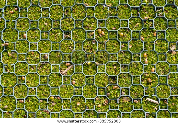 Green grass\
with plastic block pattern, \
background