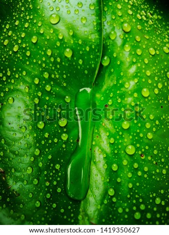 Similar – Image, Stock Photo Flowing Yellow Bathroom