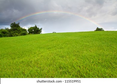 Green Grass And Real Rainbow