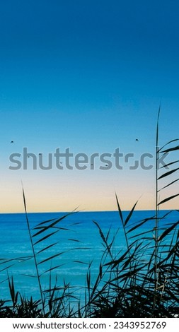 Green grass, reeds, stalks blowing in wind, horizontal, blurred sea background. vertical copy space
