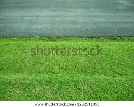 Similar – Image, Stock Photo herald of spring Scooter