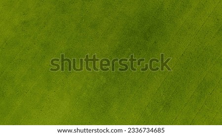 Green grass seamless texture. Seamless in only horizontal dimension. paddle field from above. the bird eye view of green field.