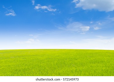 Green Grass And Sky