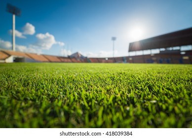 Green grass in soccer stadium. 