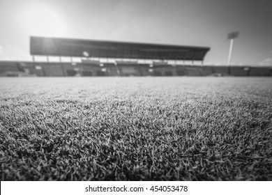 Green Grass In Soccer Stadium.  Black And White.

