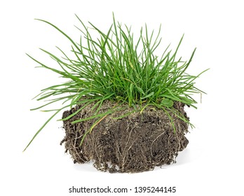 Green grass, soil and grass isolated on white background. - Shutterstock ID 1395244145