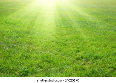 Green grass and sun rays