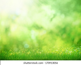 Green Grass Sunny Nature Background Stock Photo 170913056 | Shutterstock