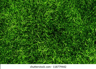 Green Grass Texture