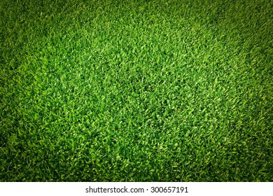grüne Grasstruktur auf Hintergrund