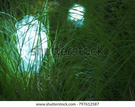 Similar – Image, Stock Photo lightning rain Nature