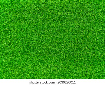 Green grass texture background grass garden  concept used for making green background football pitch, Grass Golf,  green lawn pattern textured background. - Shutterstock ID 2030220011