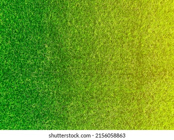 Green grass texture background grass garden concept used for making turf green background football pitch, Grass Golf, green lawn pattern textured background.	 - Shutterstock ID 2156058863