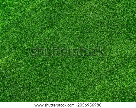 Green grass texture background grass garden  concept used for making green background football pitch, Grass Golf,  green lawn pattern textured background.
