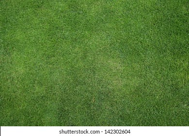 Green Grass Texture Or Background Of Golf Course And Football Soccer Field