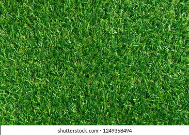 Green Grass Texture For Background. Green Lawn Pattern And Texture Background. Top View.