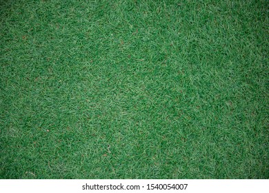Green grass texture for background. Green lawn pattern background . Copy space for you text.  - Shutterstock ID 1540054007