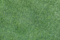 Green grass texture background stock photo containing backdrop and ...