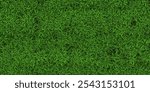 Green grass texture background, Top view of grass garden ideal concept used for making green flooring, lawn for training football pitch, Grass Golf Courses green lawn pattern textured background.	