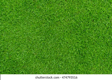 Green grass texture background Top view of bright grass garden Idea concept used for making green backdrop, lawn for training football pitch, Grass Golf Courses green lawn pattern textured background. - Shutterstock ID 474793516