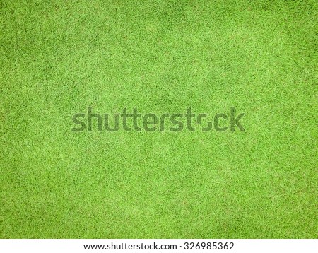 Green grass texture pattern background golf course turf from top view with authentic grassy lawn for environmental backdrop in yellow green 