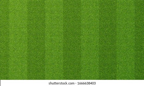 Green Grass Texture For Sport Background. Detailed Pattern Of Green Soccer Field Or Football Field Grass Lawn Texture. Green Lawn Texture Background. Close-up.