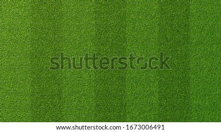 Green grass texture for sport background. Detailed pattern of green soccer field or football field grass lawn texture. Green lawn texture background. Close-up.