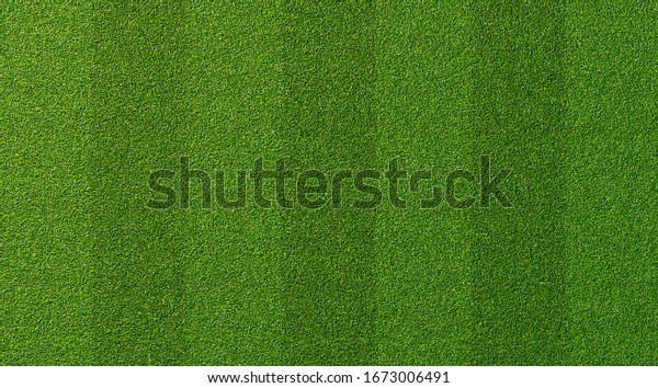 Green grass texture for\
sport background. Detailed pattern of green soccer field or\
football field grass lawn texture. Green lawn texture background.\
Close-up.