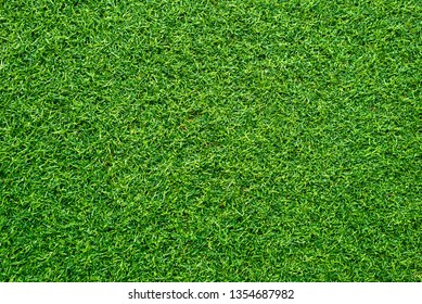 Green grass texture wall background - Shutterstock ID 1354687982