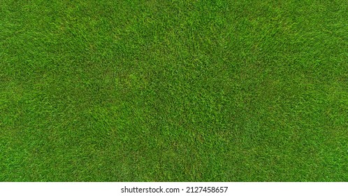 green grass texture - well-groomed turf in the garden - Shutterstock ID 2127458657