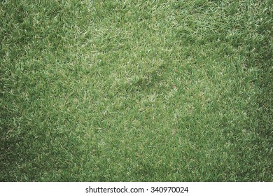 Green Grass. Textured Background. Center Light Effect.