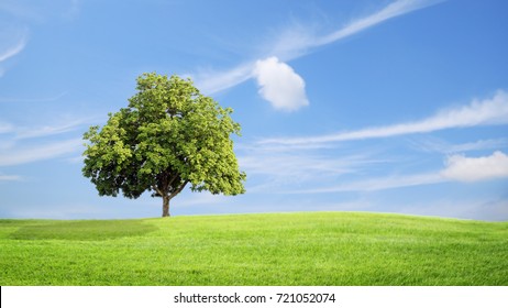 Landscape trees sky Images, Stock Photos & Vectors | Shutterstock