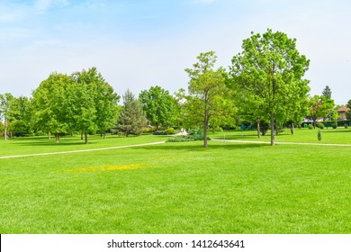 Green Grass Green Trees In The  Beautiful Park With White Cloud Blue Sky In Noon. - Image