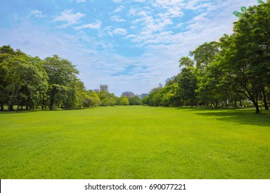 Green Grass Green Trees In Beautiful Park White Cloud Blue Sky In Noon.