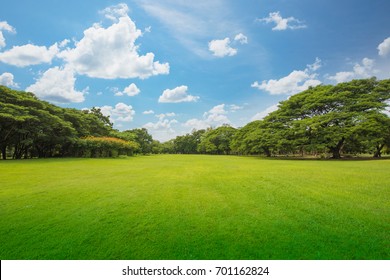 Green Grass Green Trees In Beautiful Park White Clouds And Blue Sky In Noon.
Beautiful Park Scene In Public Park With Green Grass Field, Green Tree Plant And A Party Cloudy Blue Sky.