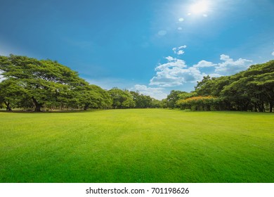 Green Grass Green Trees In Beautiful Park White Clouds And Blue Sky In Noon.