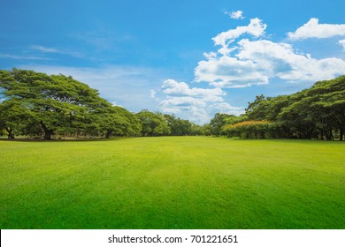 Green Grass Green Trees In Beautiful Park White Clouds And Blue Sky In Noon.