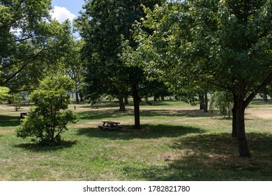 Green Grass And Trees During Summer At Randalls And Wards Islands In New York City