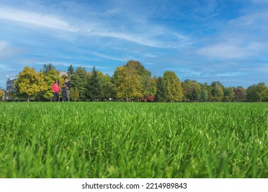 Green Grass And Trees In The Public Park. People Came Out To Enjoy The Beautiful Day. Romania, Gorj.October, 16, 2022