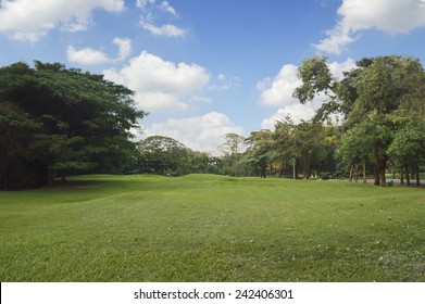 Green Grass And Trees In Public Park, Bangkok Thailand