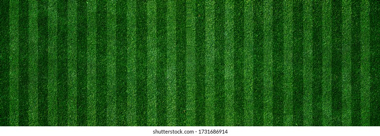green grass turf as floor texture background