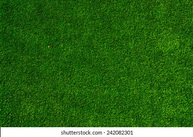 green grass turf floor texture background - Shutterstock ID 242082301