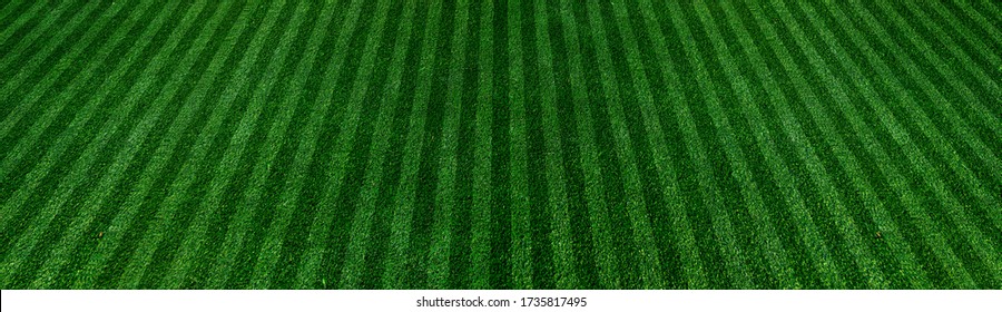 green grass turf as football field texture background