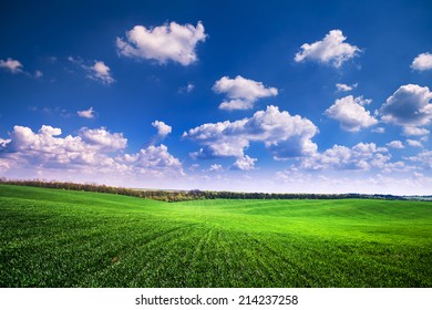 Green Grass Under Blue Sky Stock Photo 214237258 | Shutterstock