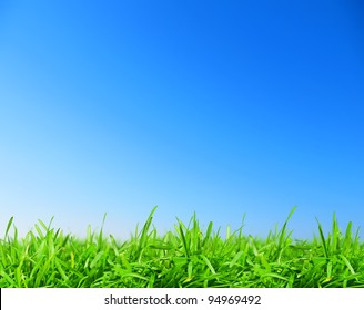 Green Grass Under Blue Sky