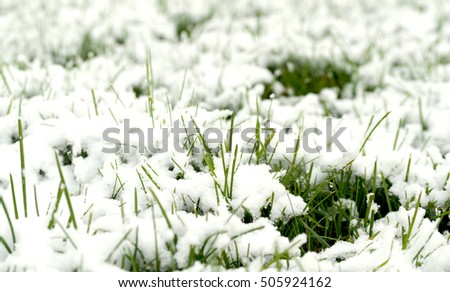 Similar – Image, Stock Photo Winter vs. Spring