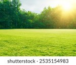 Green Grassland with Bright Sunlight, Blue Sky, and Lush Trees in the Background, Creating a Peaceful and Vibrant Natural Scene